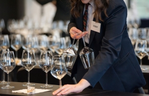 6 Questions To Ask When Hiring Event Staffing Services  6 Questions To Ask When Hiring Event Staffing Services